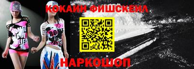 индика Гатчина