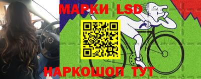 Альфа ПВП Гусев