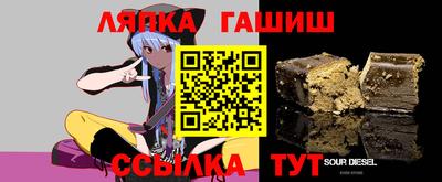 индика Гатчина