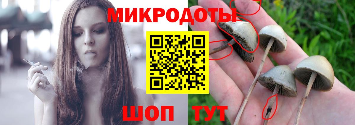 Меф кристаллы  Cocaine  Конопля  Вход с VPN  Гусев  ГАШ  Alpha-PVP СК  