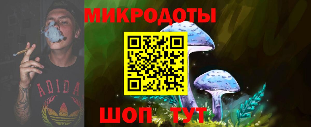Гусев  Псилоцибиновые грибы прущие грибы  хочу наркоту  Вход с VPN 
